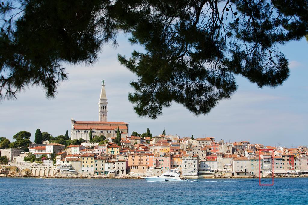 Panorama Antonia Rovigno